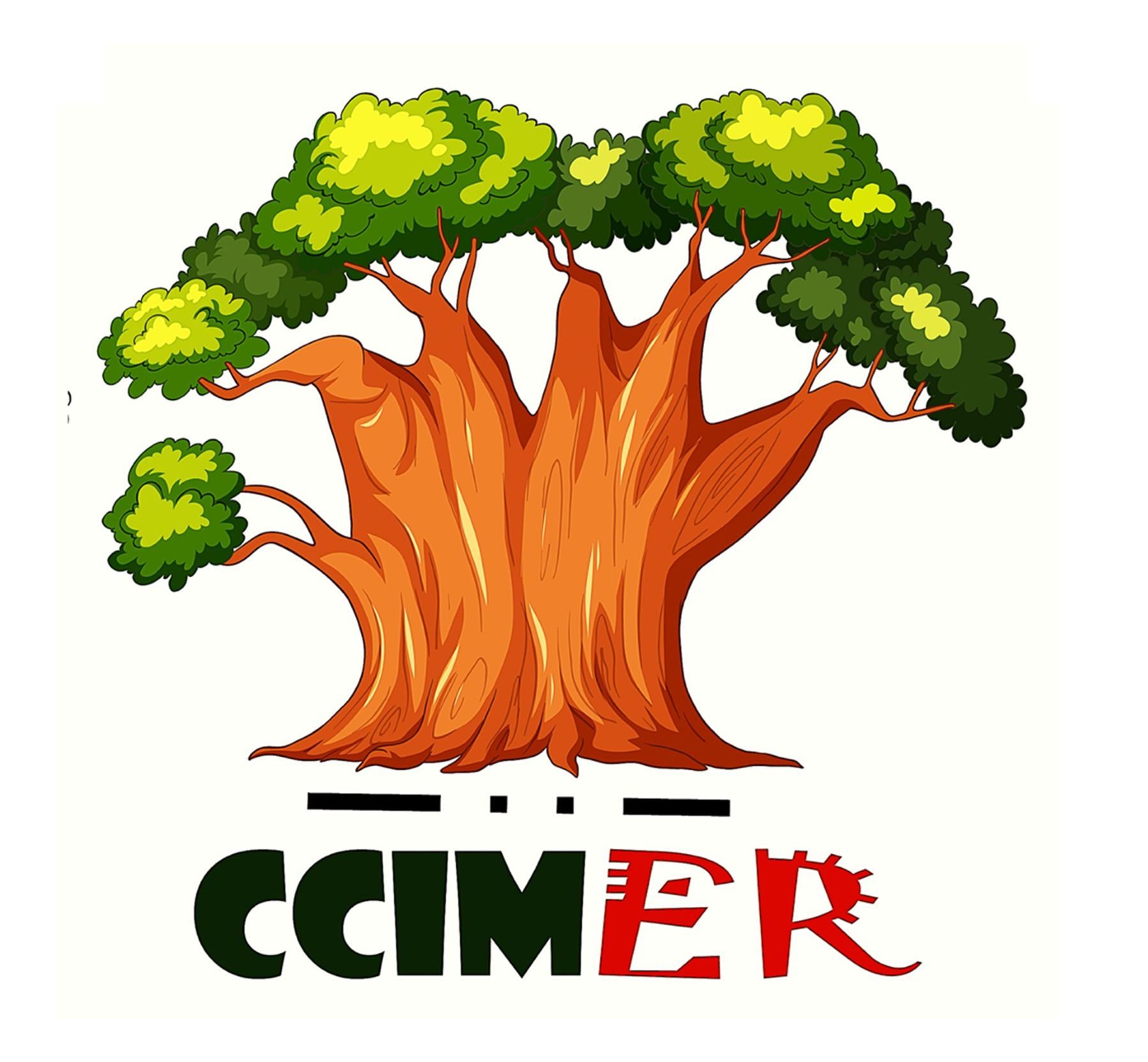 CCIMER
